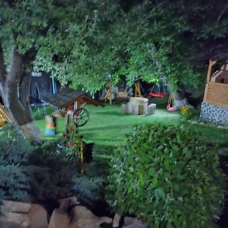 Casa Dintre Pini Villa Paltinoasa Luaran gambar