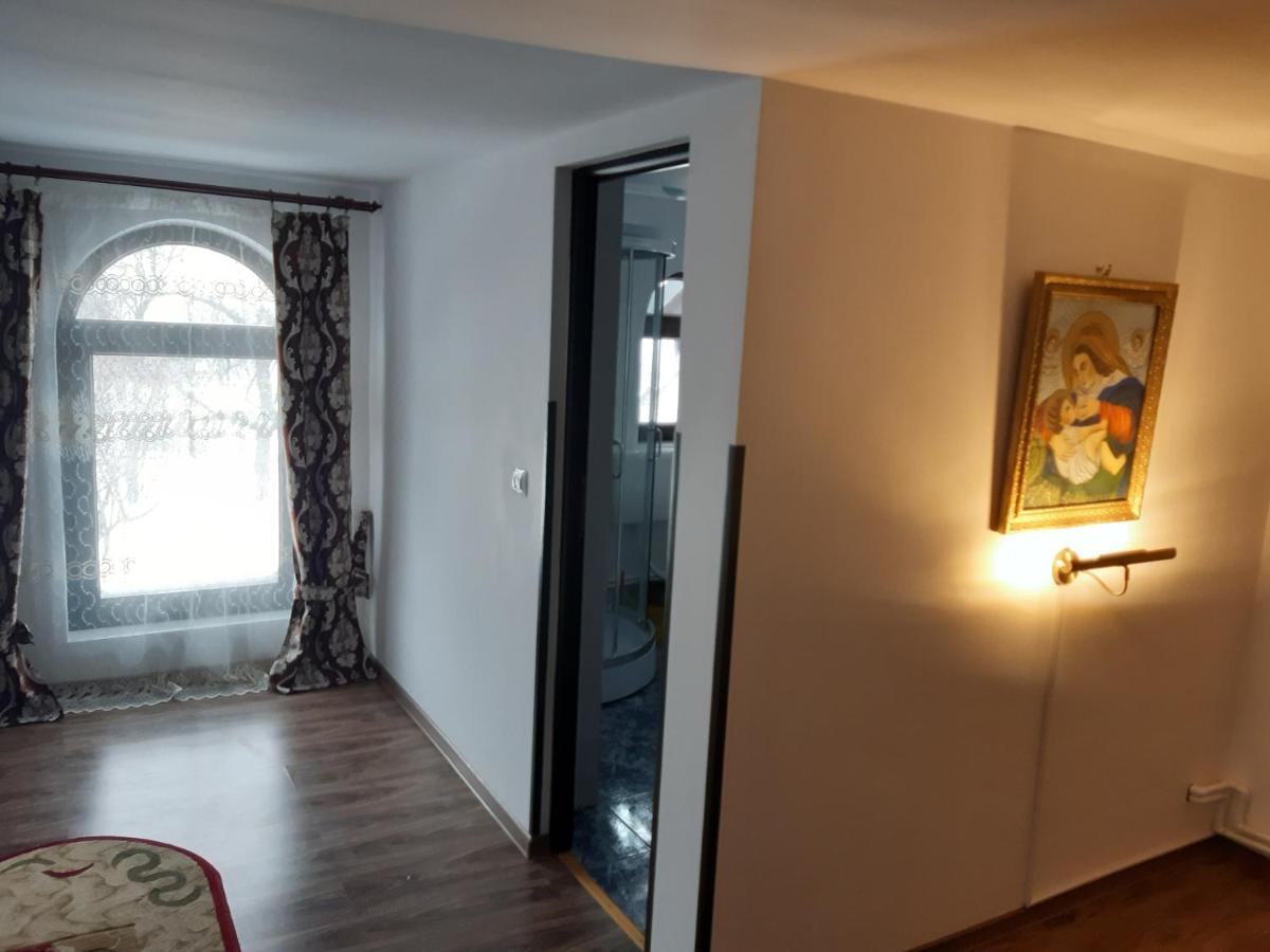 Casa Dintre Pini Villa Paltinoasa Luaran gambar
