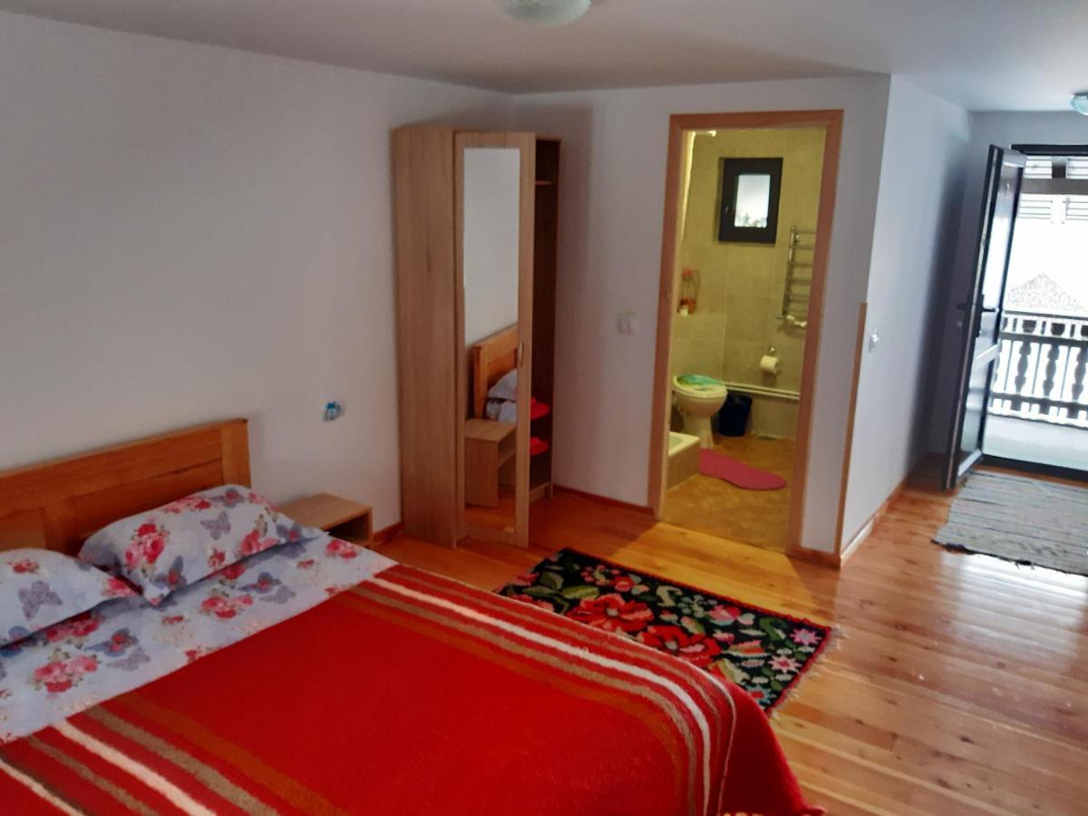 Casa Dintre Pini Villa Paltinoasa Luaran gambar