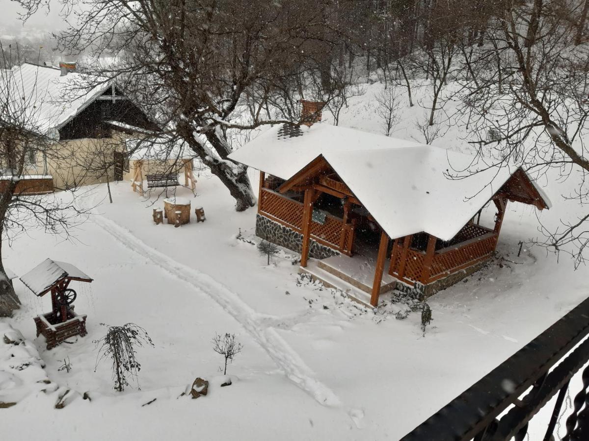 Casa Dintre Pini Villa Paltinoasa Luaran gambar