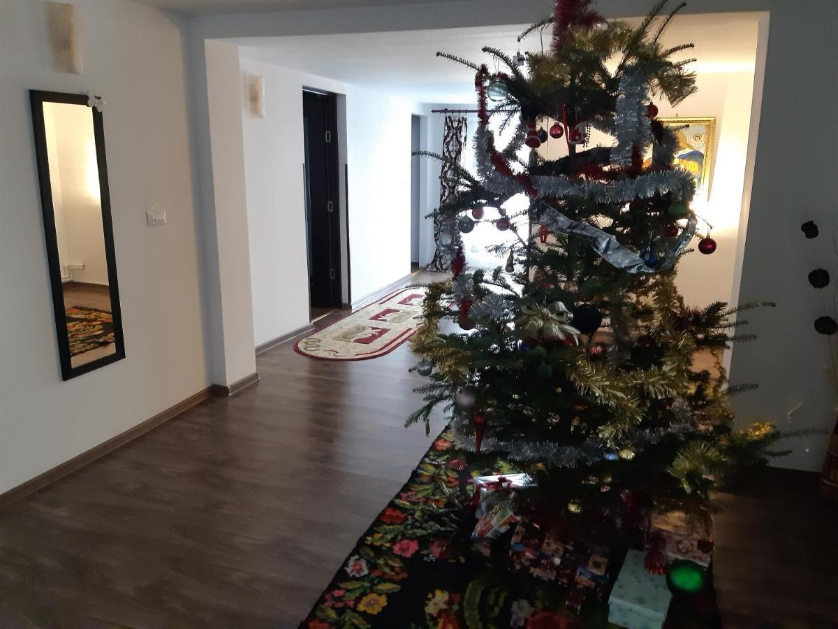 Casa Dintre Pini Villa Paltinoasa Luaran gambar