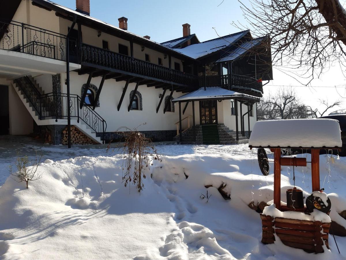 Casa Dintre Pini Villa Paltinoasa Luaran gambar