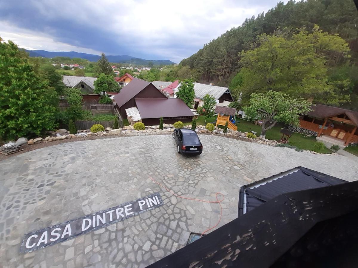 Casa Dintre Pini Villa Paltinoasa Luaran gambar