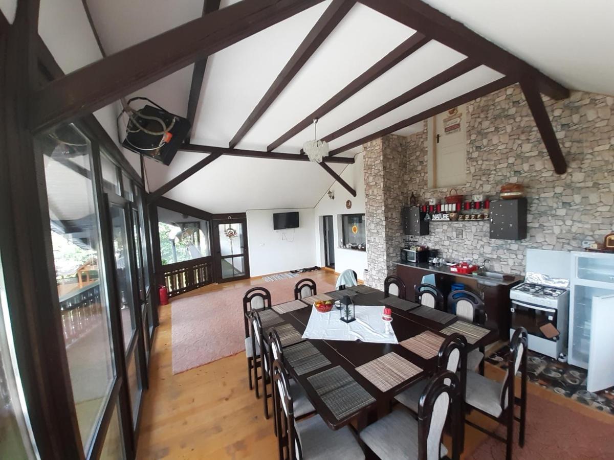 Casa Dintre Pini Villa Paltinoasa Luaran gambar