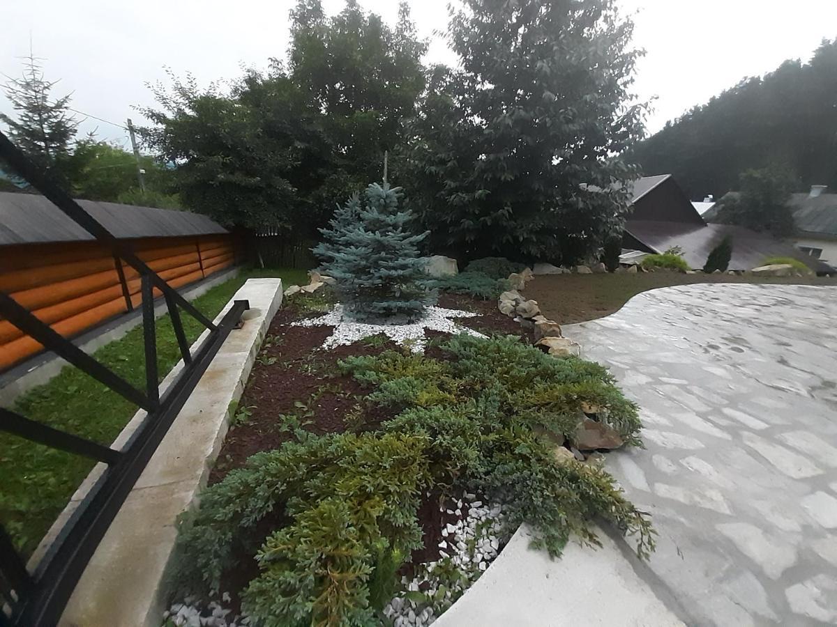 Casa Dintre Pini Villa Paltinoasa Luaran gambar