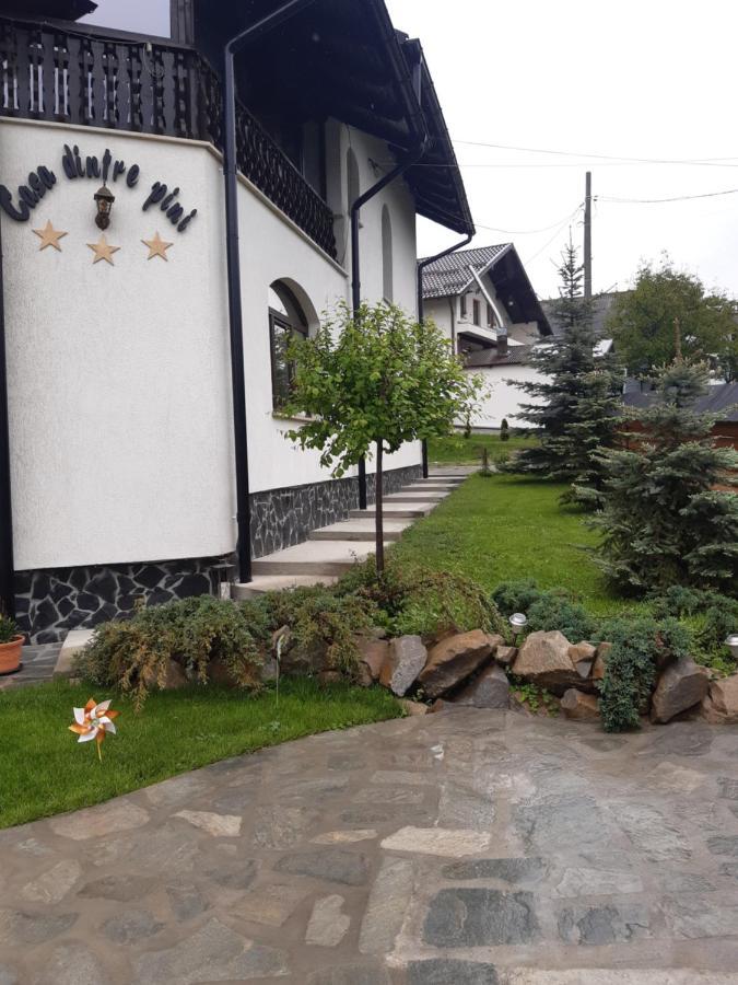 Casa Dintre Pini Villa Paltinoasa Luaran gambar