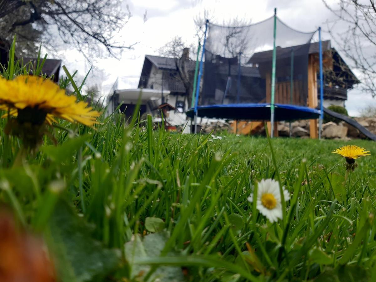 Casa Dintre Pini Villa Paltinoasa Luaran gambar