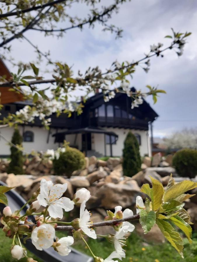 Casa Dintre Pini Villa Paltinoasa Luaran gambar