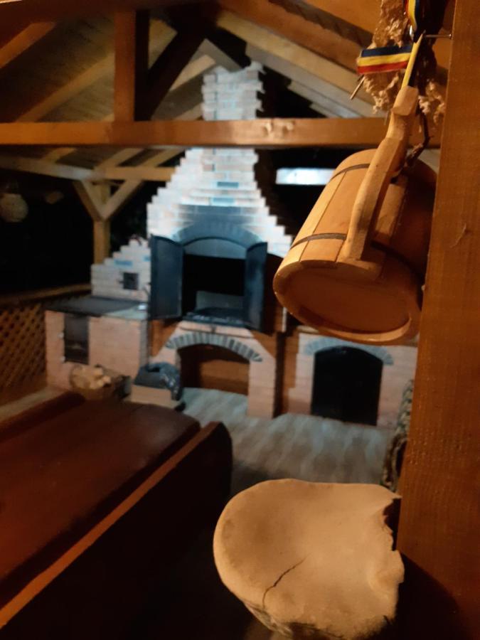 Casa Dintre Pini Villa Paltinoasa Luaran gambar