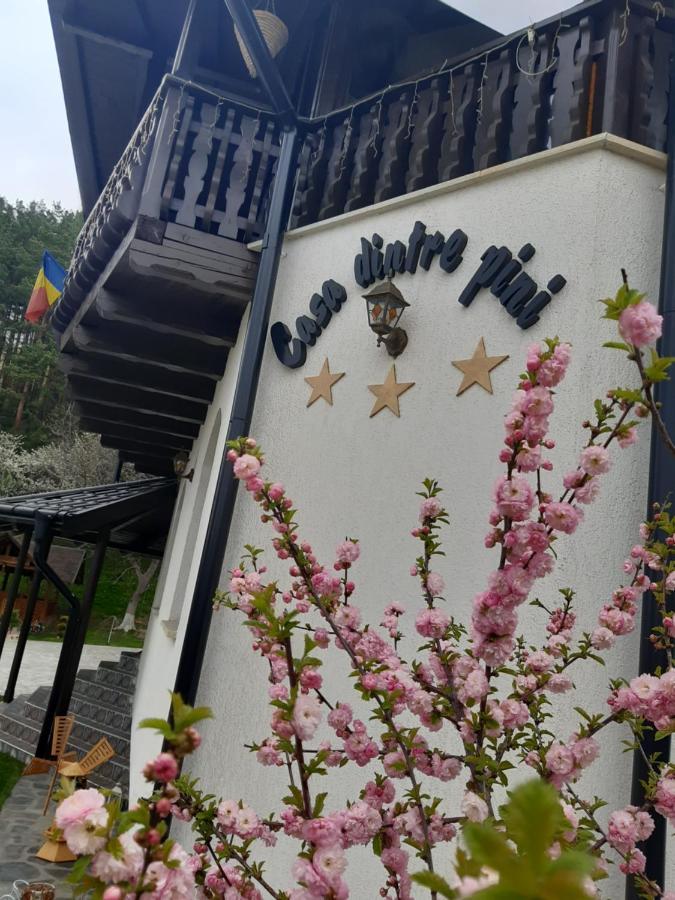 Casa Dintre Pini Villa Paltinoasa Luaran gambar