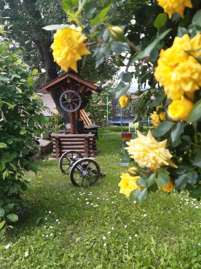 Casa Dintre Pini Villa Paltinoasa Luaran gambar