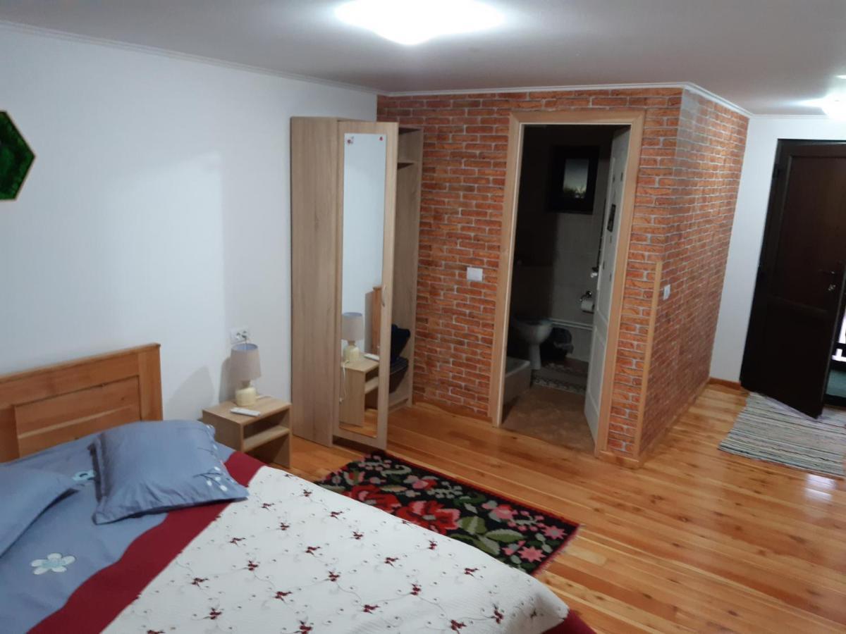 Casa Dintre Pini Villa Paltinoasa Luaran gambar