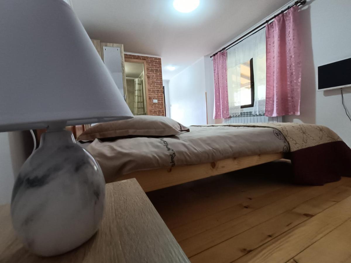 Casa Dintre Pini Villa Paltinoasa Luaran gambar