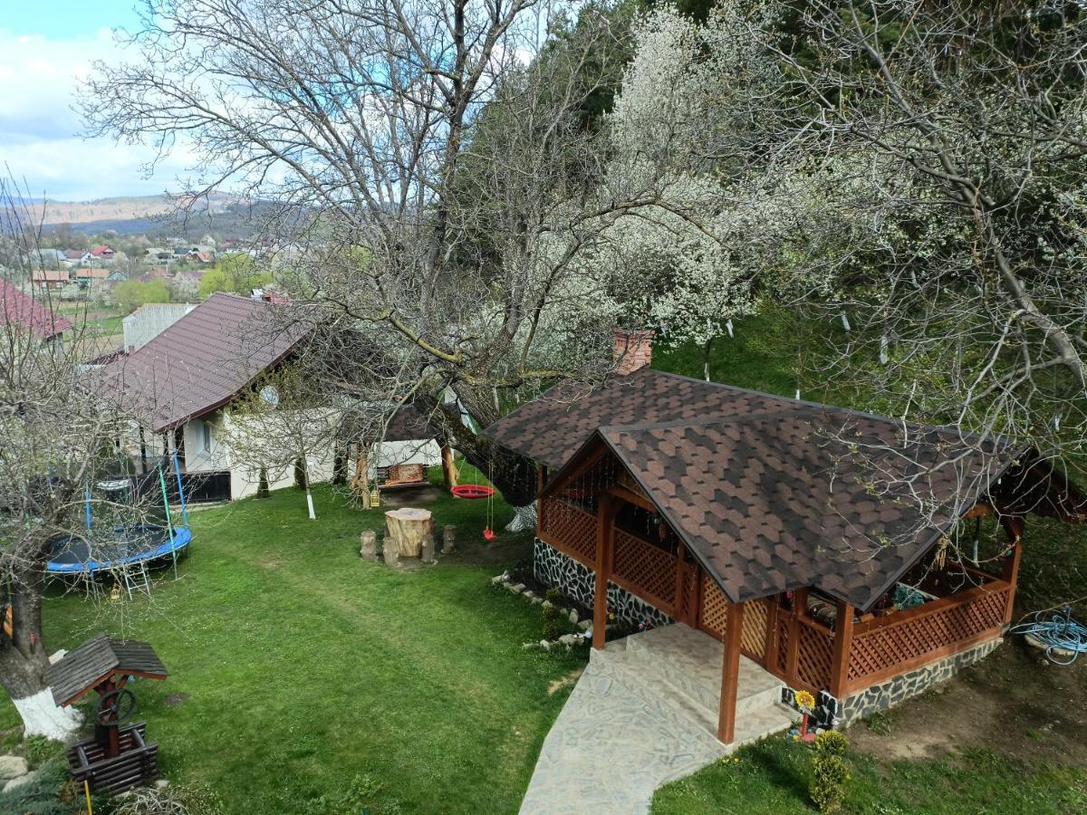 Casa Dintre Pini Villa Paltinoasa Luaran gambar