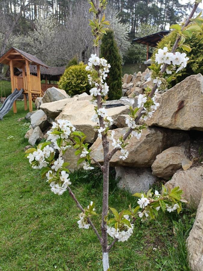 Casa Dintre Pini Villa Paltinoasa Luaran gambar