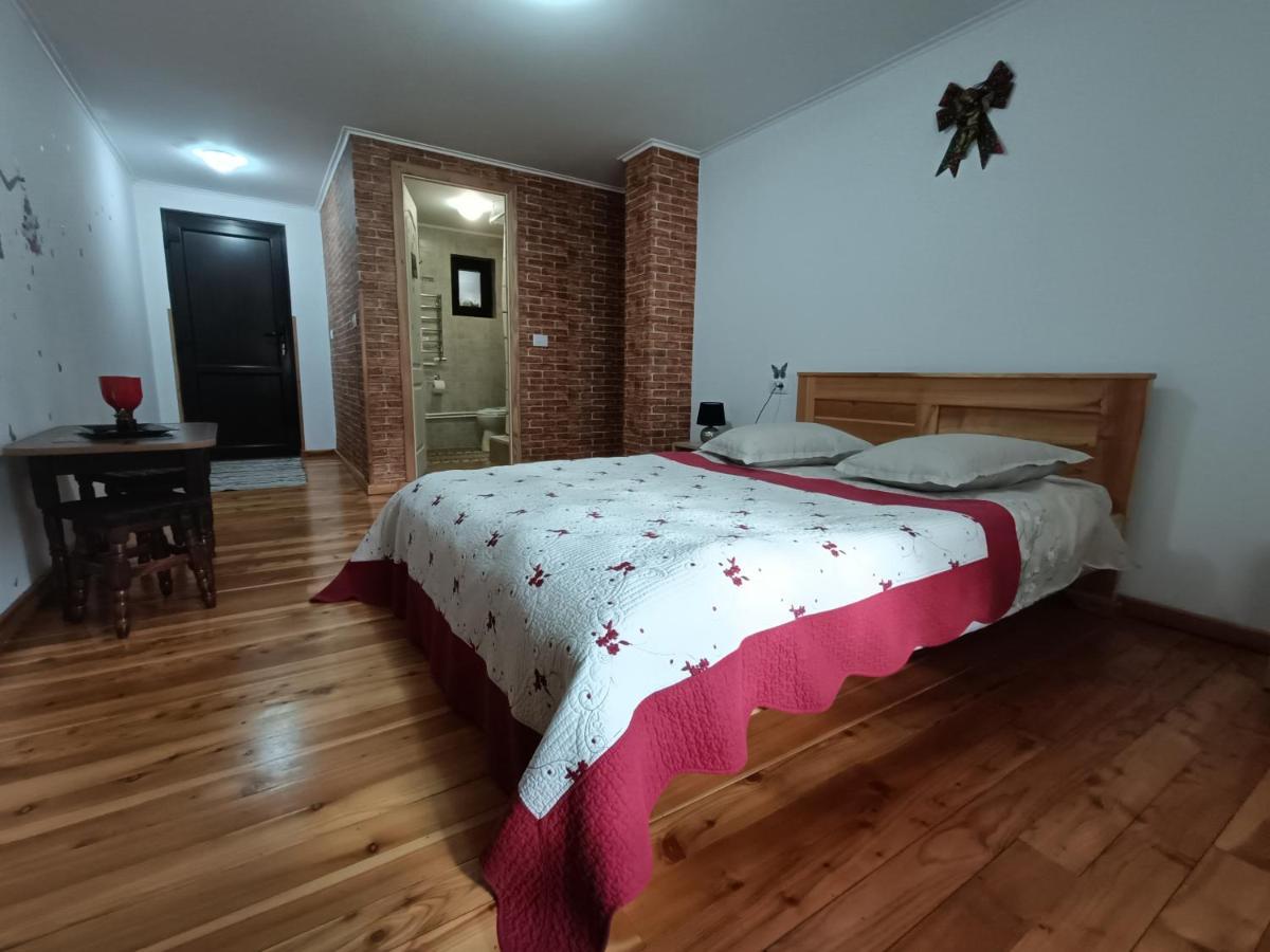 Casa Dintre Pini Villa Paltinoasa Luaran gambar