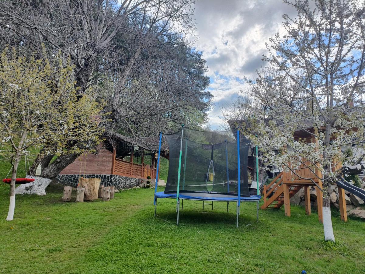 Casa Dintre Pini Villa Paltinoasa Luaran gambar