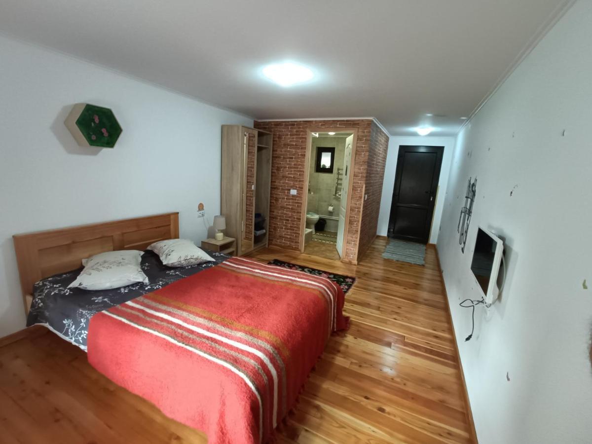 Casa Dintre Pini Villa Paltinoasa Luaran gambar