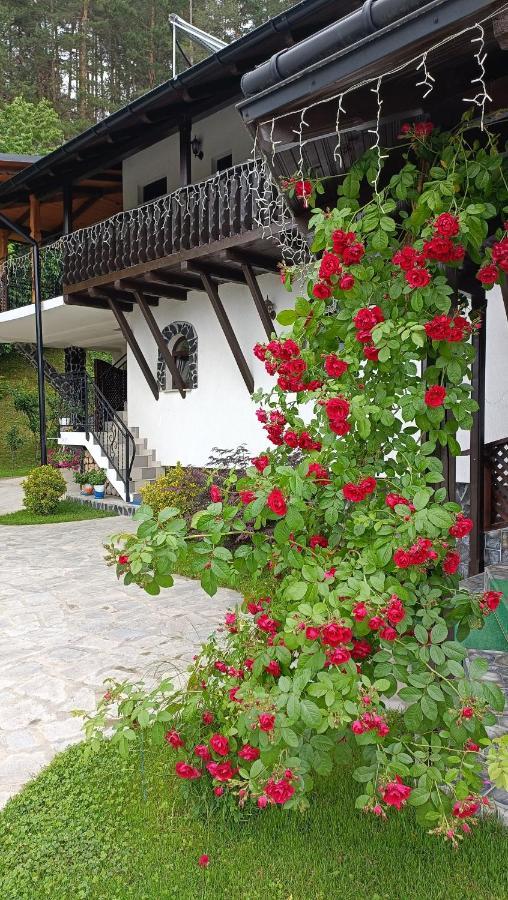 Casa Dintre Pini Villa Paltinoasa Luaran gambar
