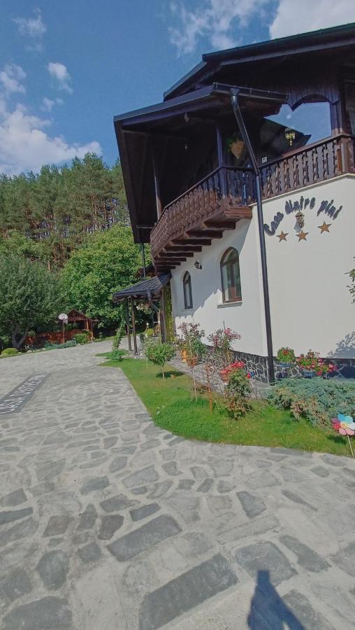 Casa Dintre Pini Villa Paltinoasa Luaran gambar