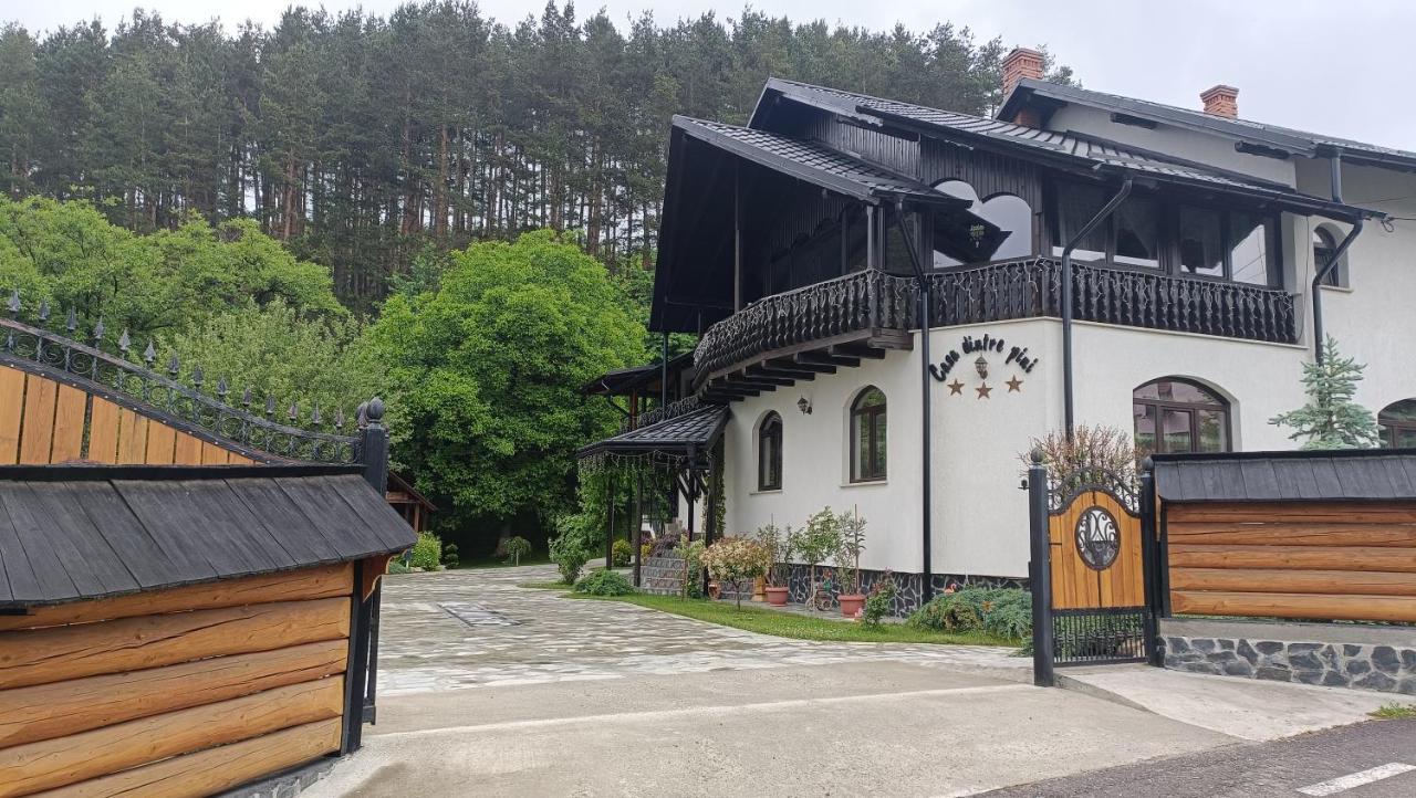 Casa Dintre Pini Villa Paltinoasa Luaran gambar