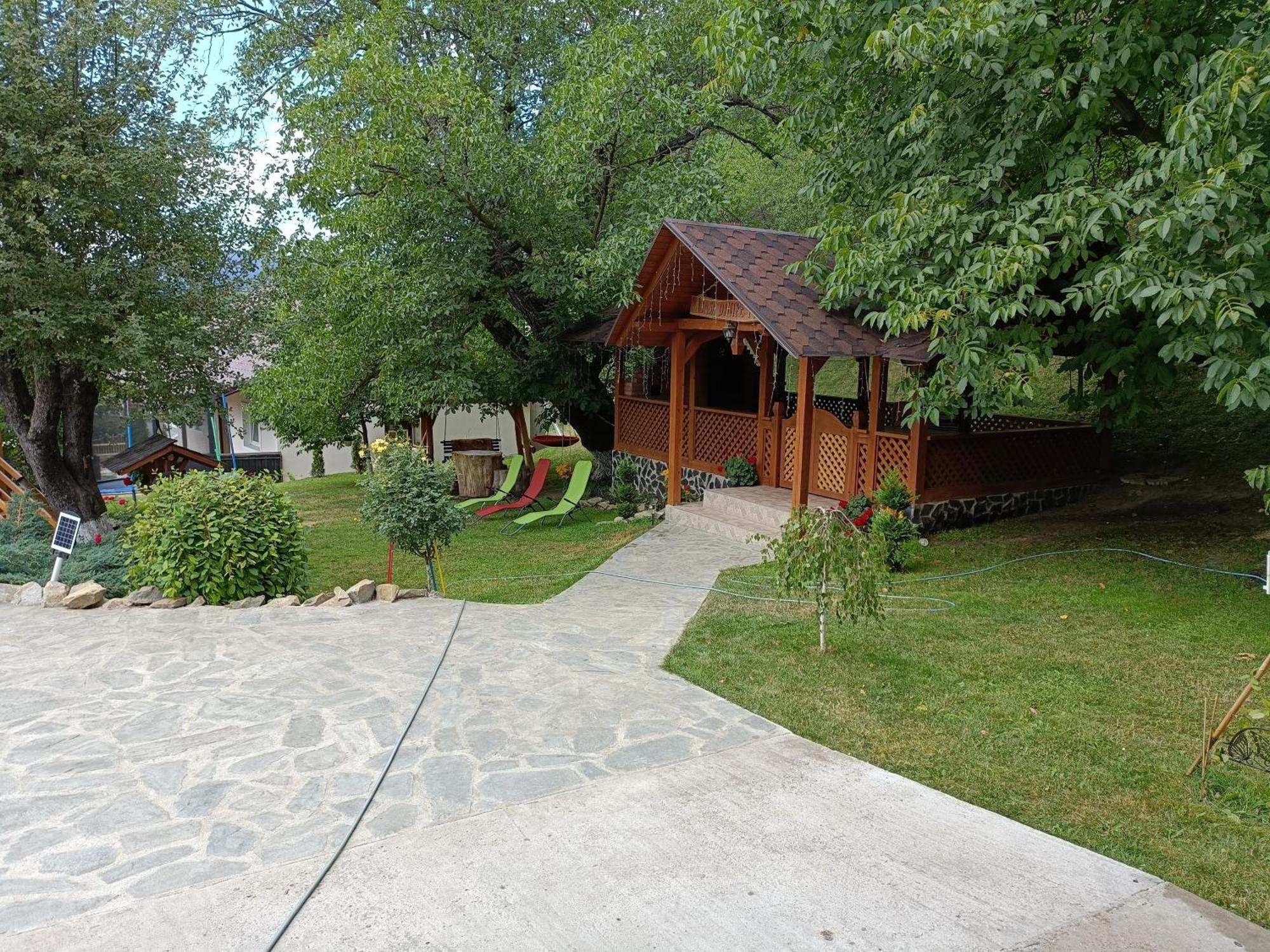 Casa Dintre Pini Villa Paltinoasa Luaran gambar